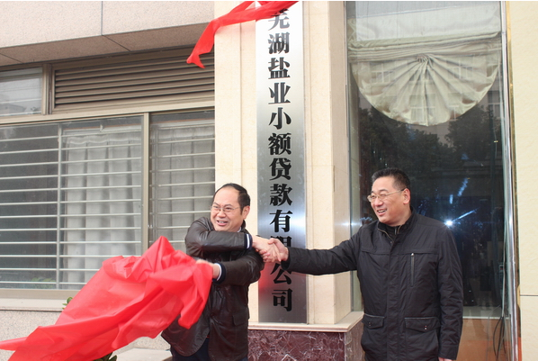芜湖必发小额贷款有限公司12月26日举行开业庆典