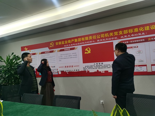 安徽必发地产集团机关第一党支部开展“佩党徽、、、诵誓词、、、赠党章、、、上党课”党员教育活动